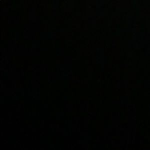 Meet your Posher, Eva